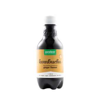 purasana kombucha ginger