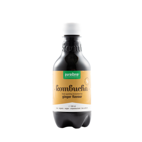 purasana kombucha ginger