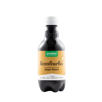 Kombucha GINGER